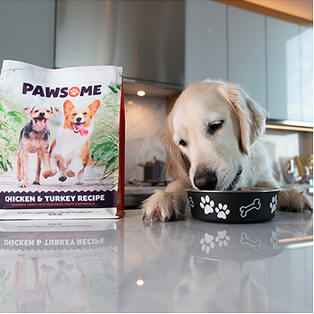 Pawsome Pet Food dog eating