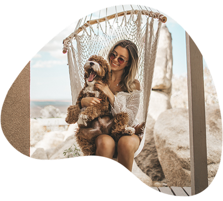 Pawsome Pet Food dog in a box