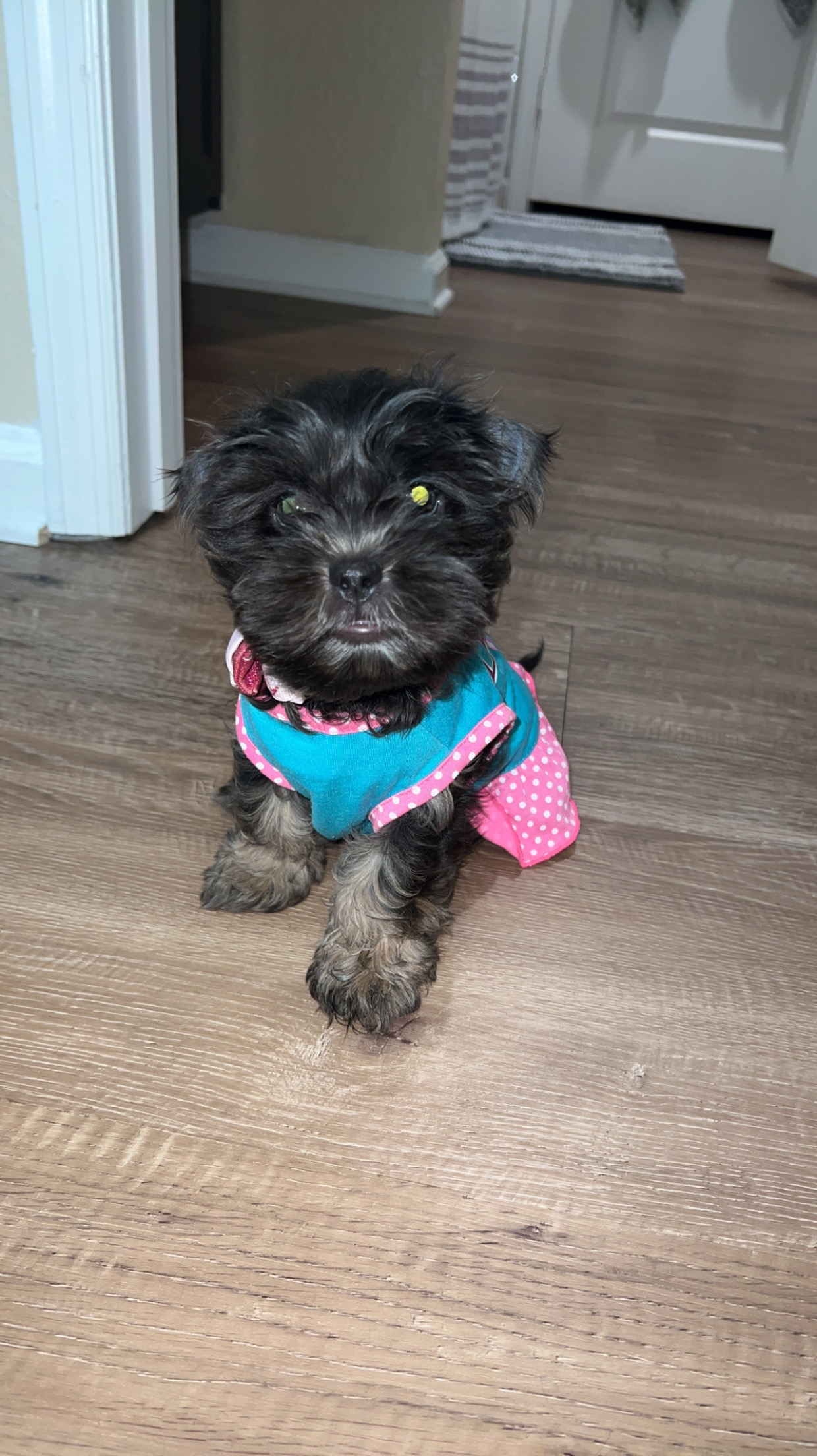 Best Teddy Bear Baby
