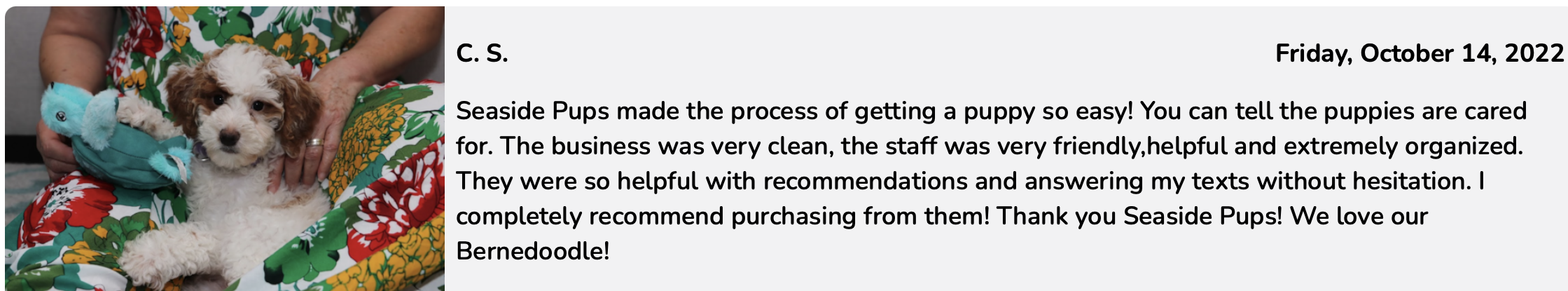 seaside pups review from family of purchased puppy