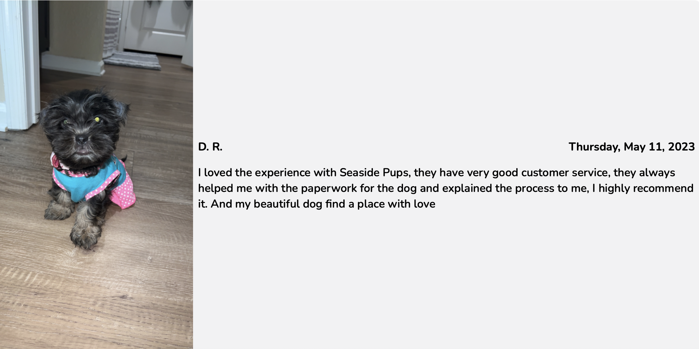 seaside pups review from family who reserved a puppy. review 3 from happy seaside pups customer