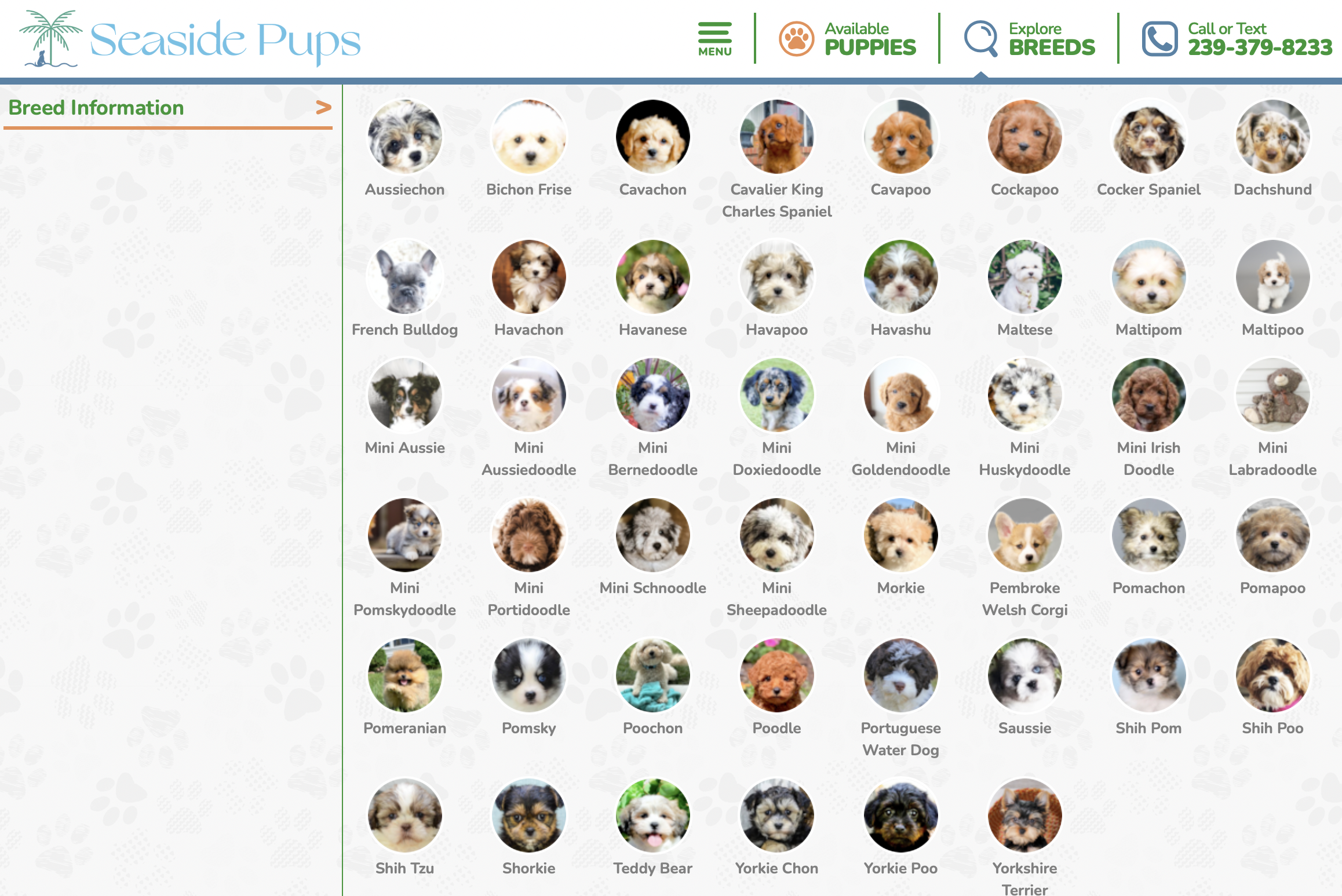 seaside pups dog breed information menu with all breeds