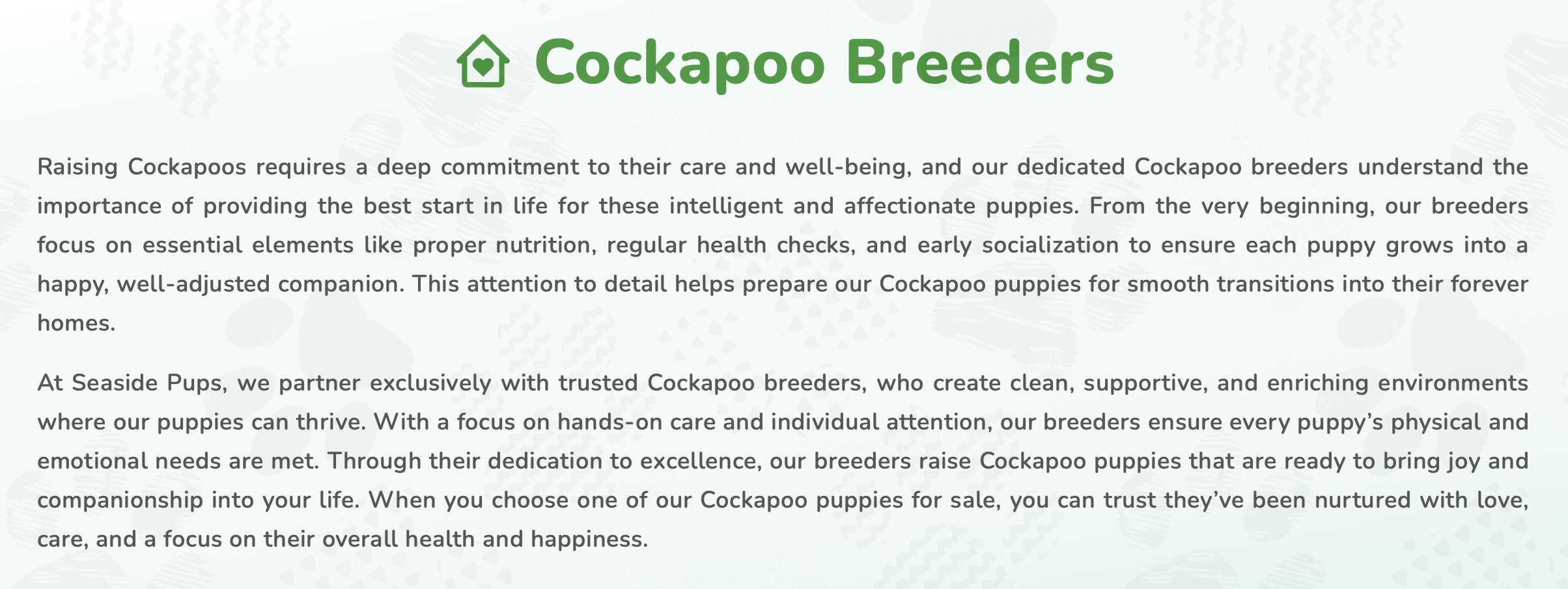 8.image describing cockapoo breeders at seaside pups