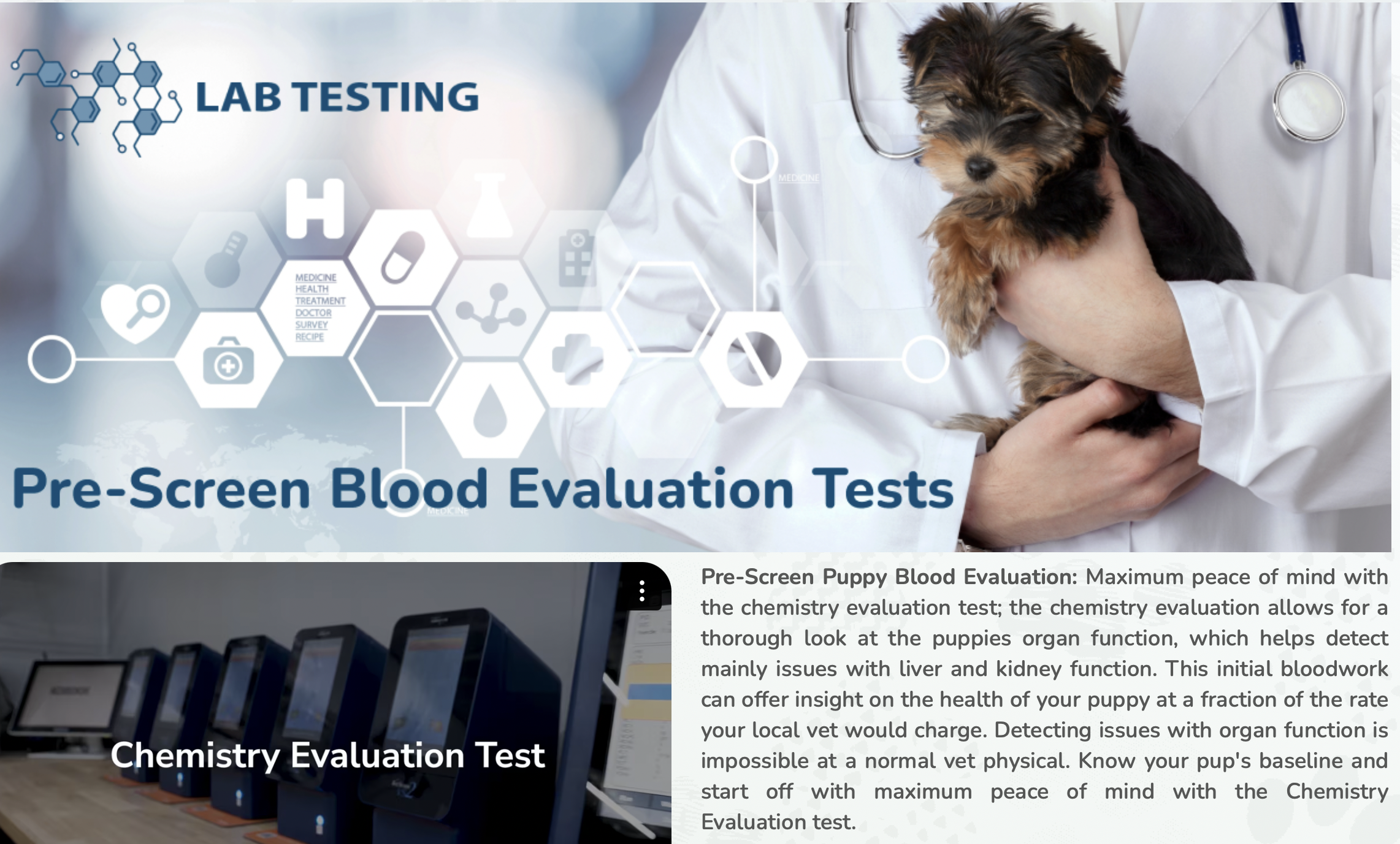 seaside pups pre screen blood evaluations