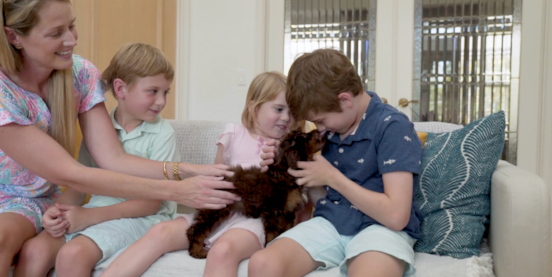 20 Clear Reasons Why Seaside Pups Is Not a Puppy Mill 