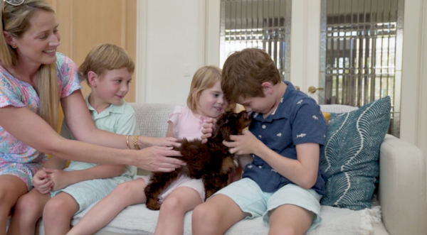 20 Clear Reasons Why Seaside Pups Is Not a Puppy Mill