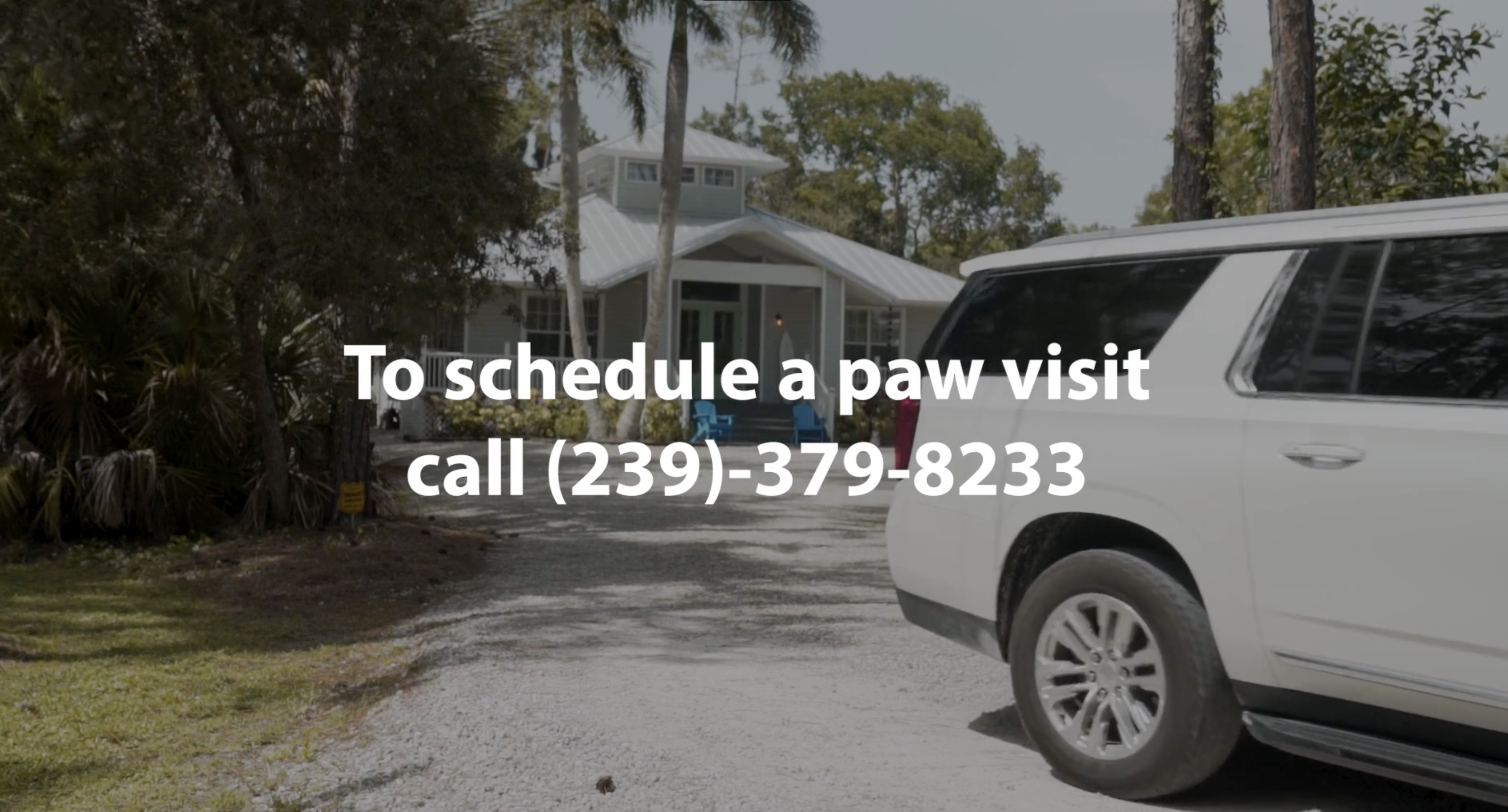 10. seaside pups paw visit schedule number