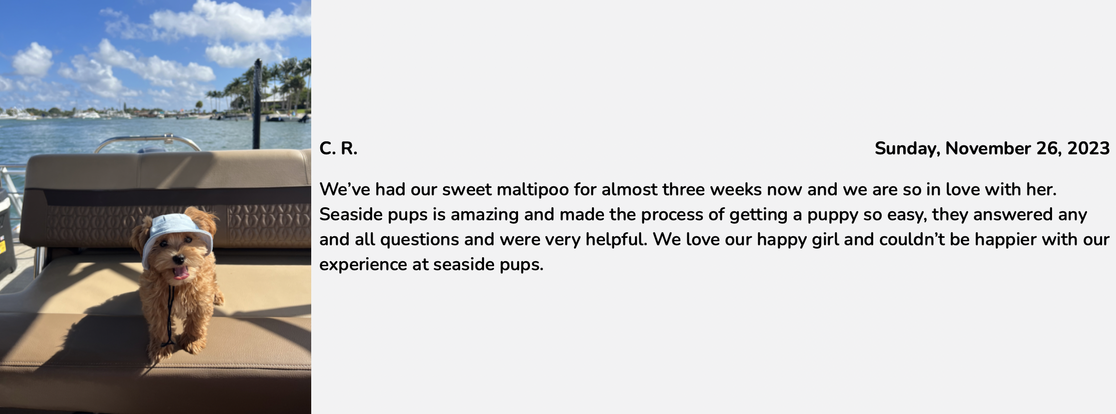 seaside pups customer review with great experience