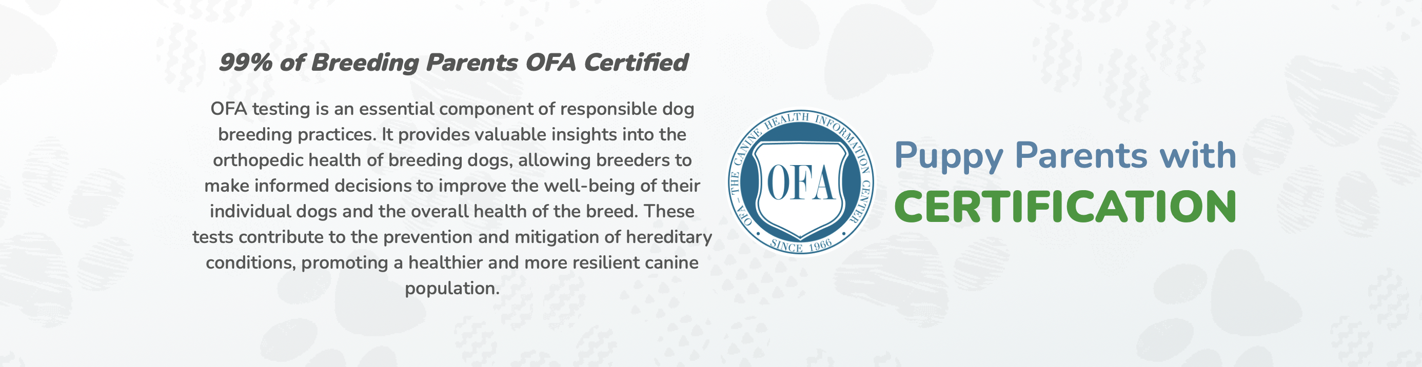 seaside pups OFA certifications for parent dogs