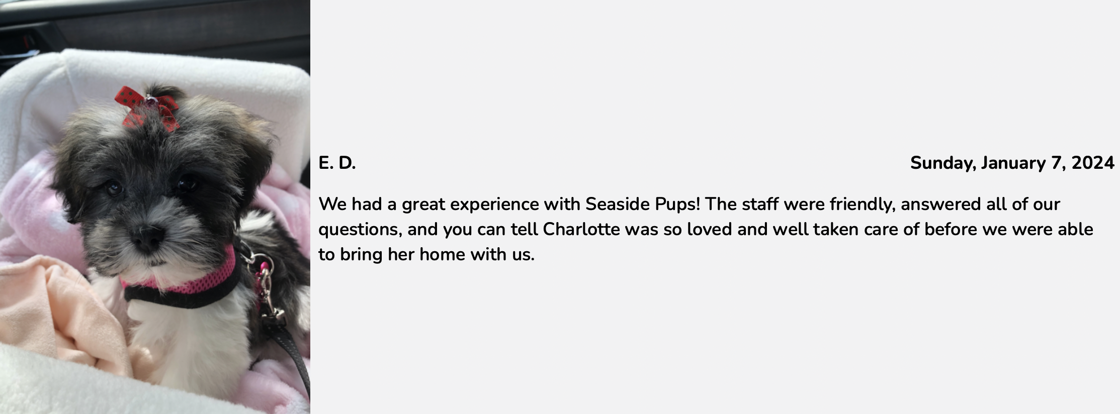 19. seaside pups customer review 3