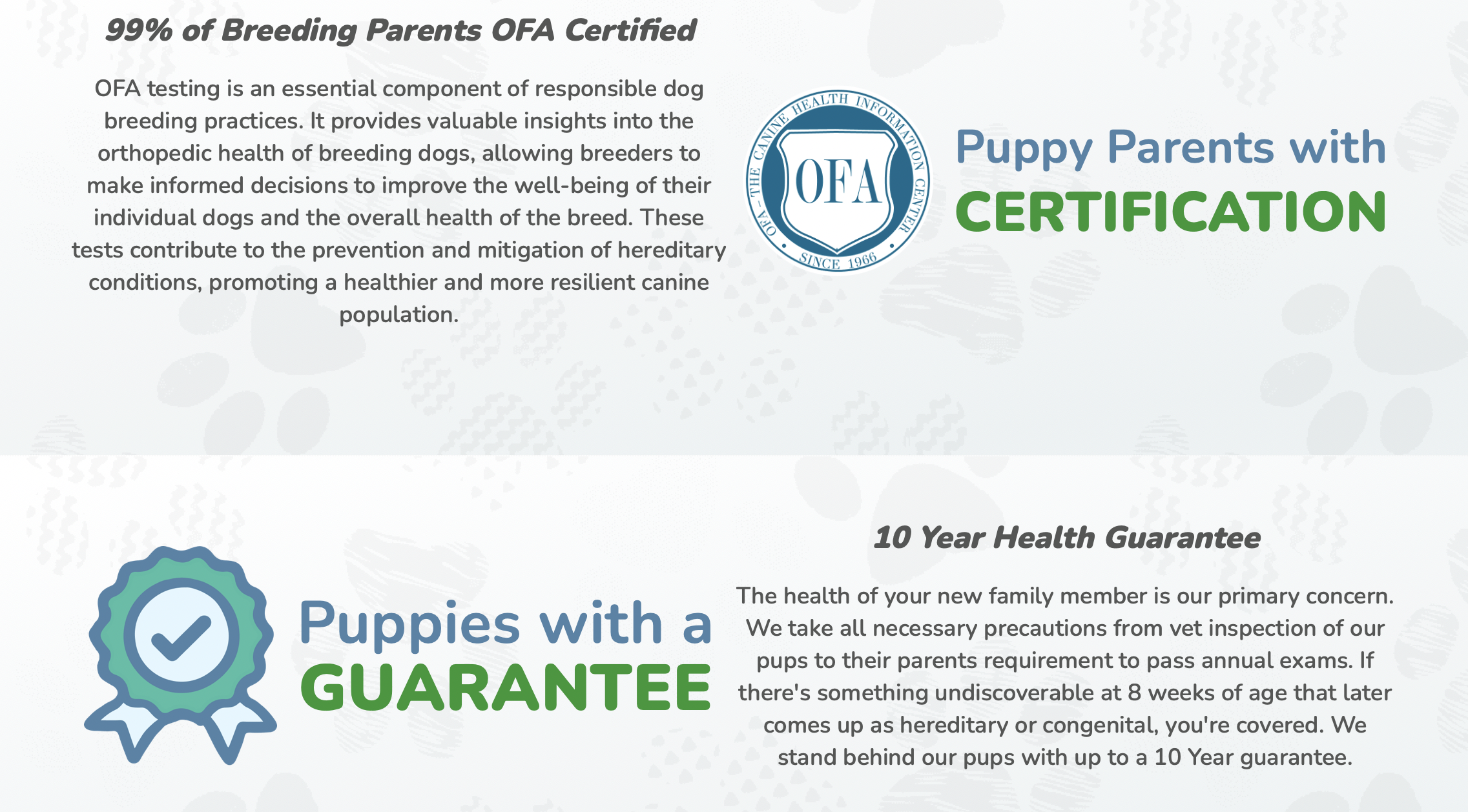 16. seaside puppies with 10 year health guarantee - OFA certifications for parent dogs