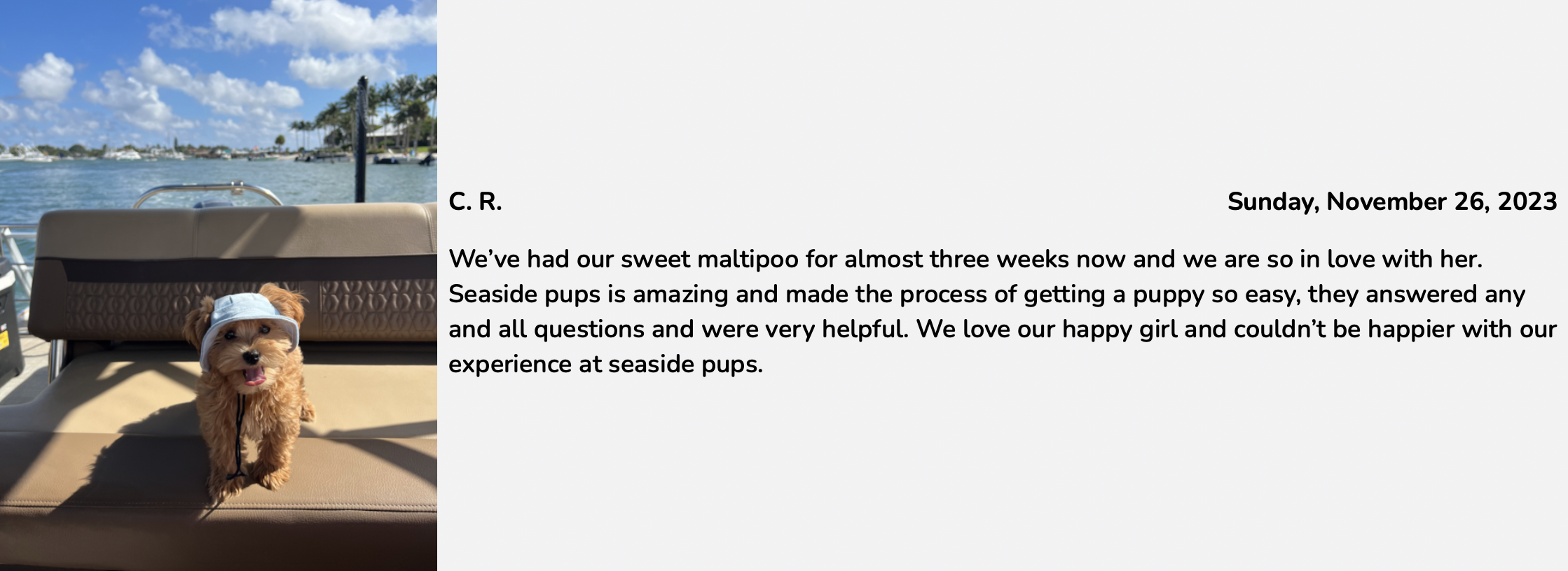 19. seaside pups review from customer 1