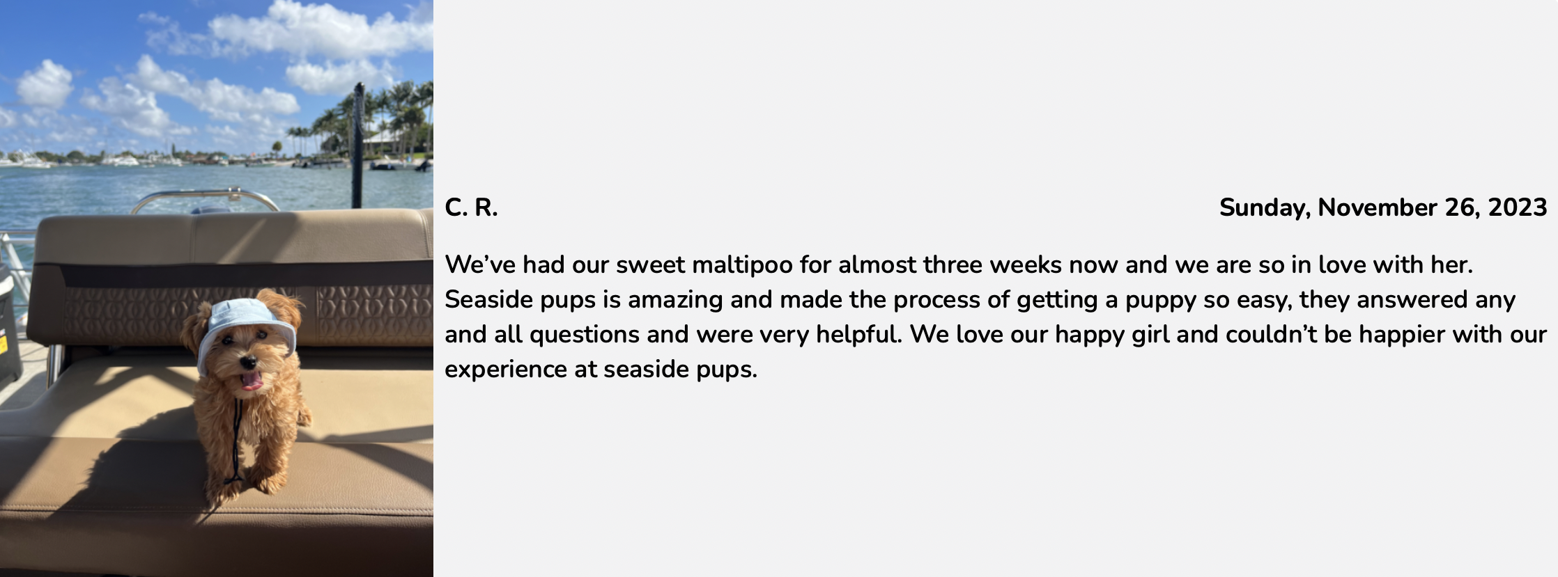 Seaside Pups review from customer. review 1 of puppy purchased from seaside pups