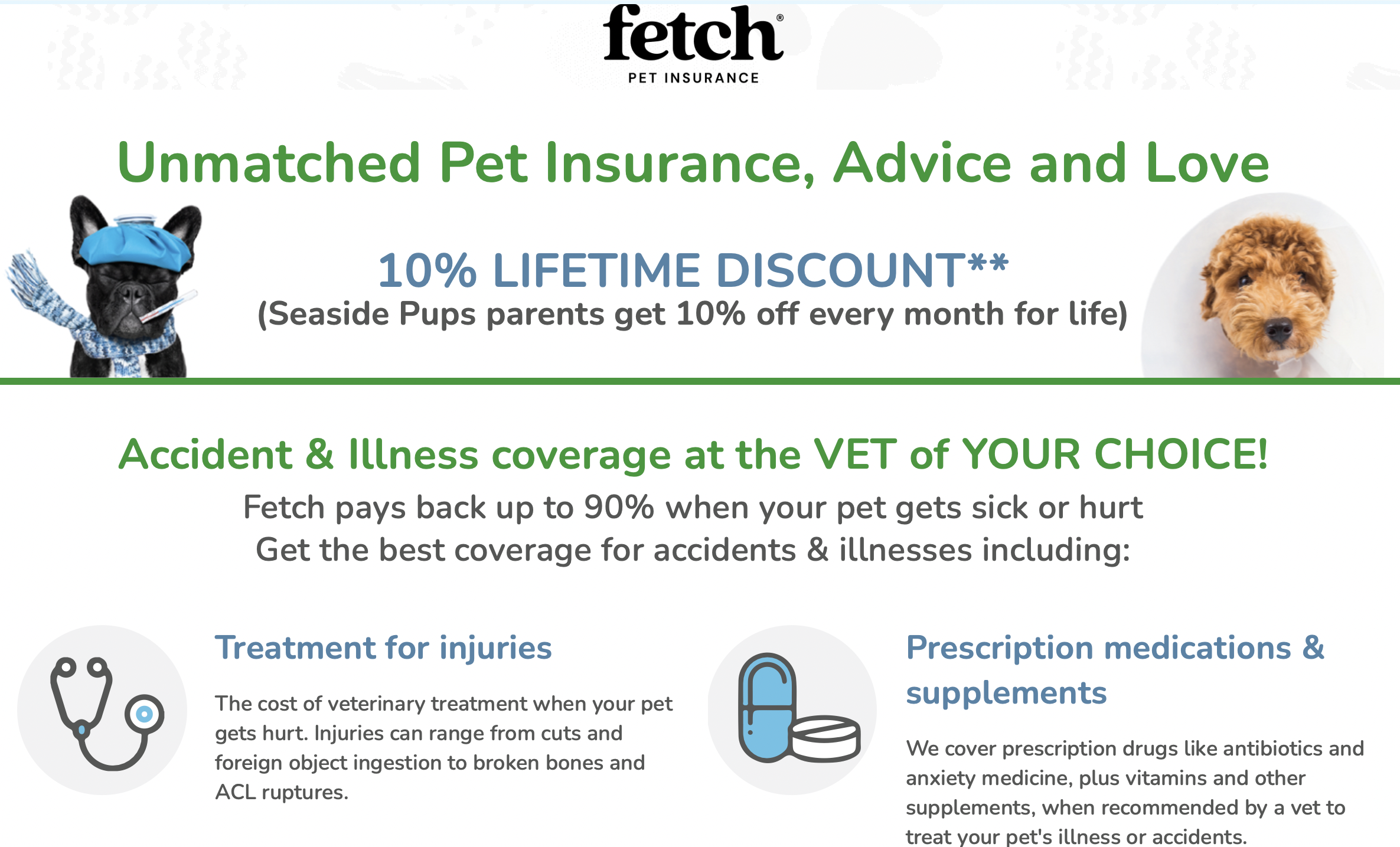 seaside pups and fetch pet insurance partnership