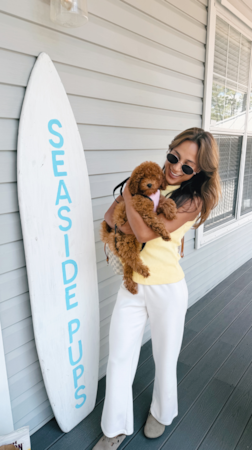 Seaside Pups Our little puppies finding their forever families 🤍🐶