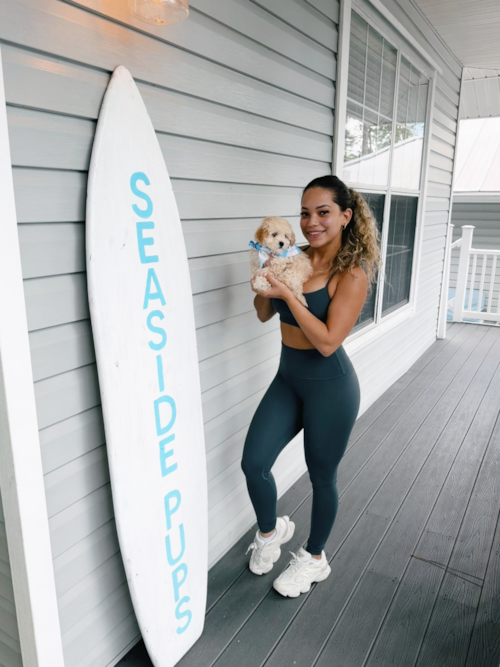 Seaside Pups Special Moment ❤️ Trending Video
