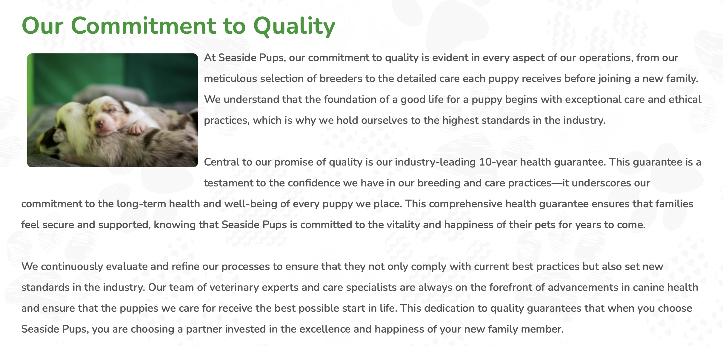 seaside pups commitment to quality