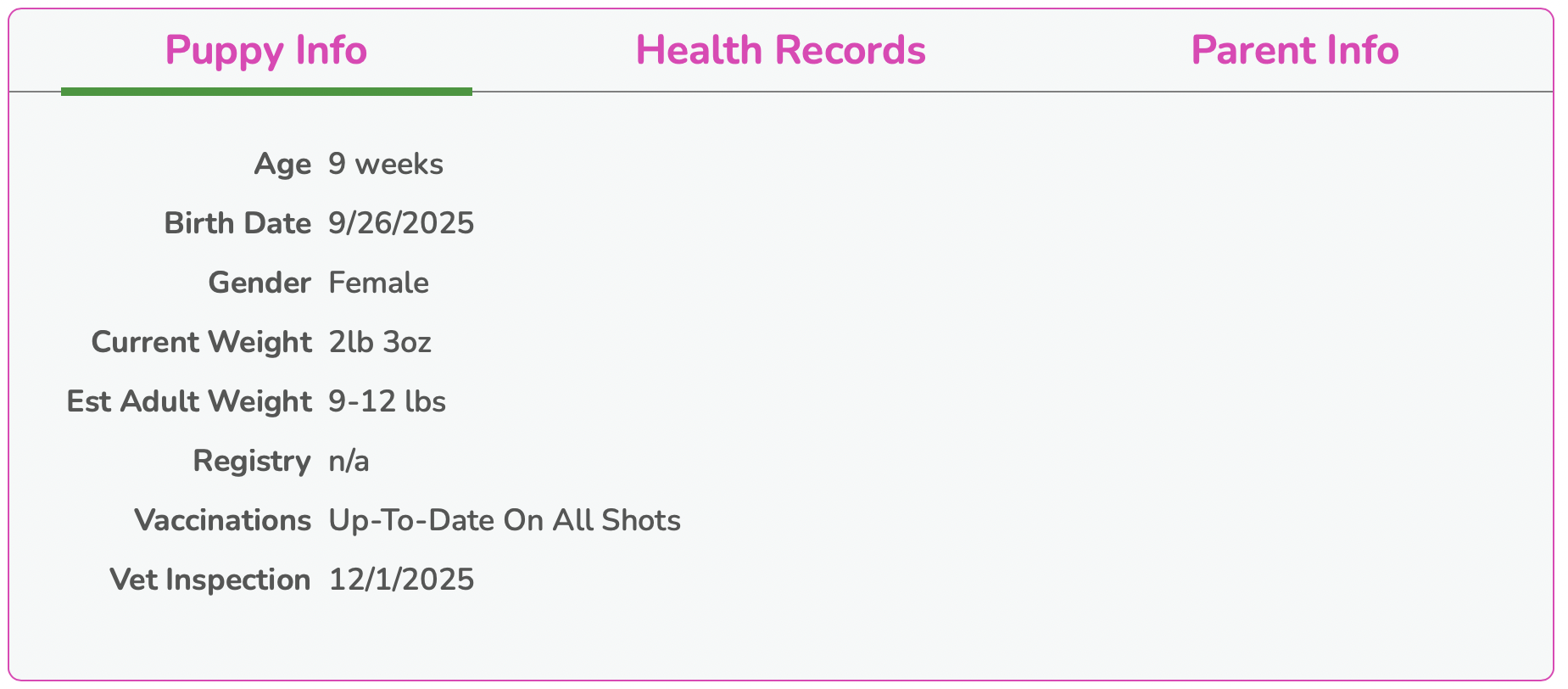 17. puppy profile at seaside pups with puppy details