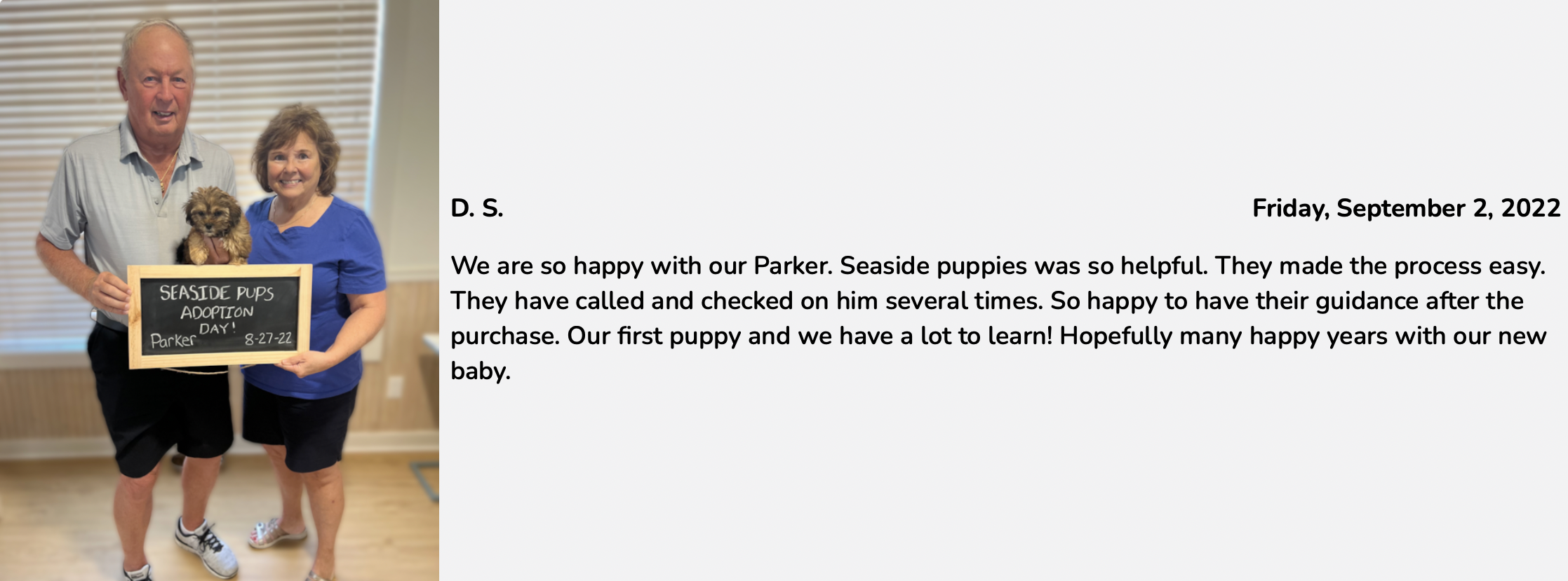 seaside pups review from customer. review 7 seaside pups best customer reviews