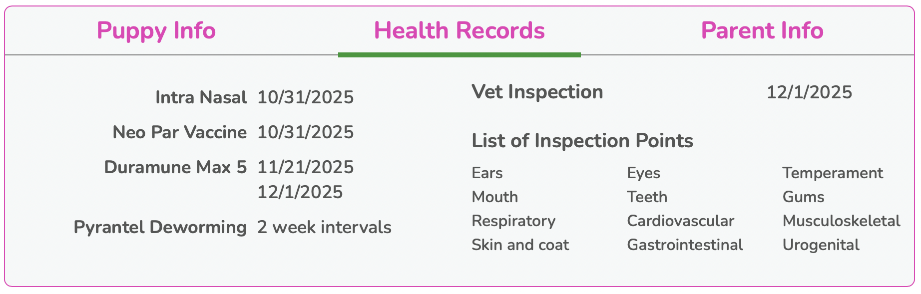17. puppy profile at seaside pups with health records