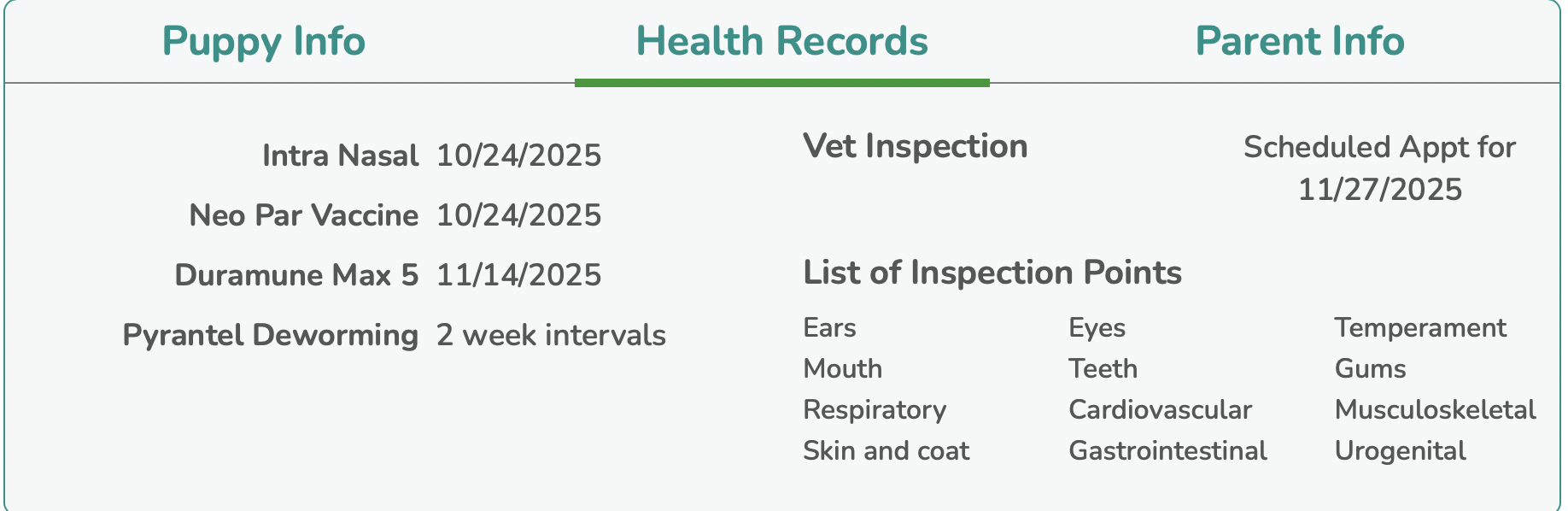 seaside pups puppy profile with health records