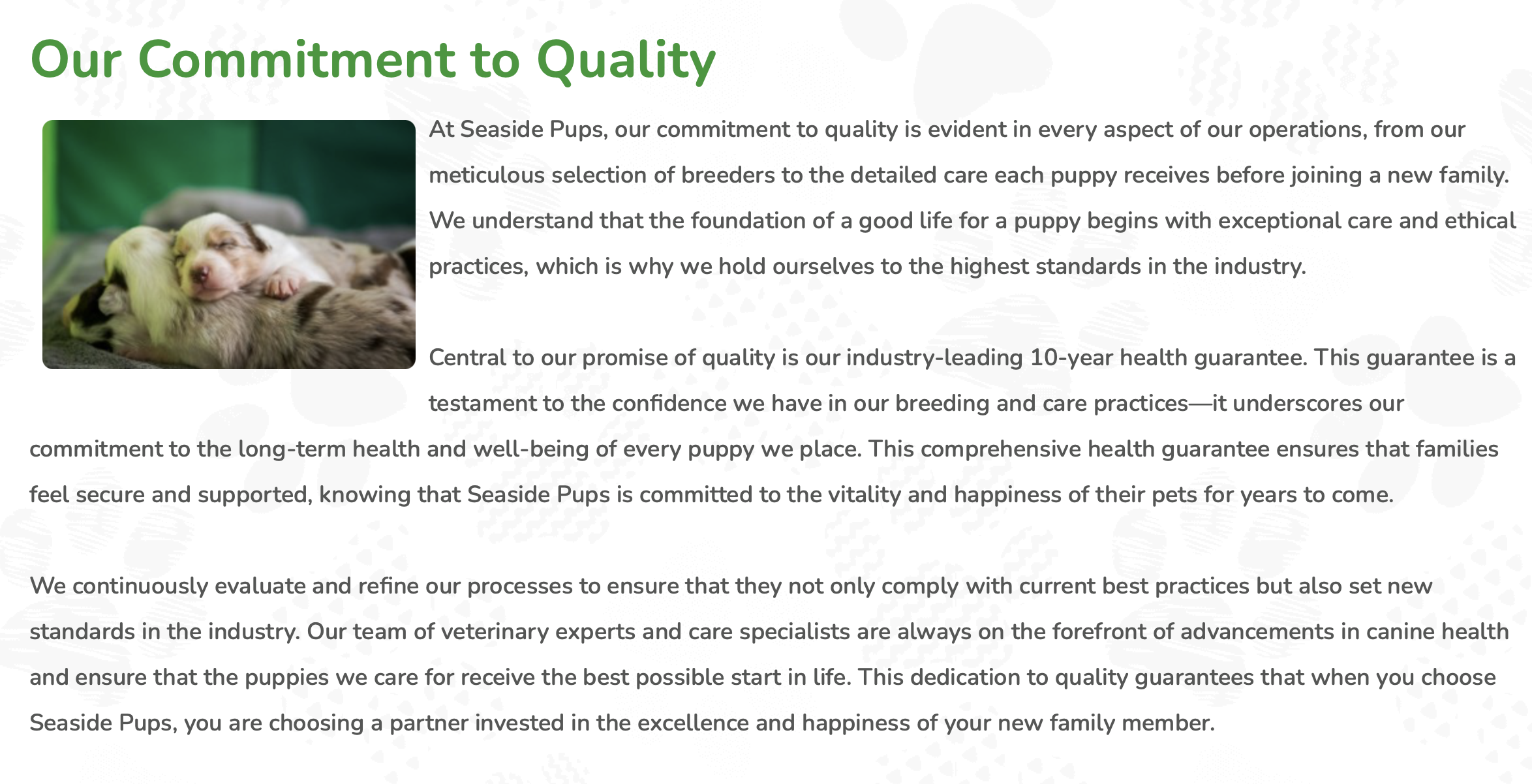 seaside pups legitimate business