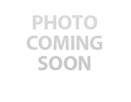 10 week old Poodle Puppy For Sale - Seaside Pups