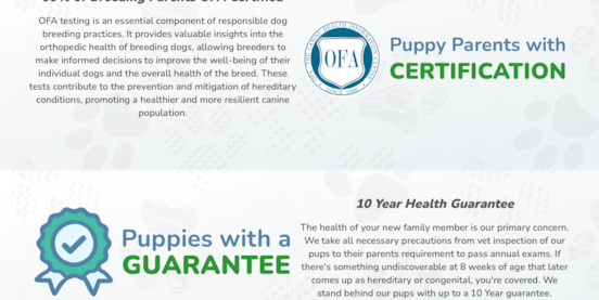 Seaside Pups 10-Year Health Guarantee Explained 