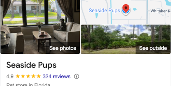 Seaside Pups Reviews: Verified Stories From Customers 