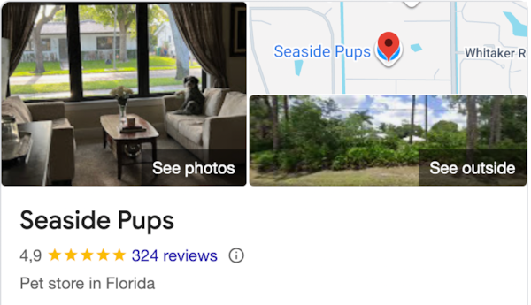 Seaside Pups Reviews: Verified Stories From Customers 