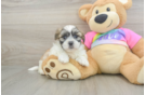 Small Teddy Bear Baby
