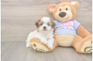 Happy Teddy Bear Baby