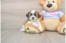 Small Teddy Bear Baby