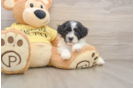 Friendly Teddy Bear Baby