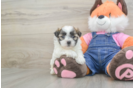 Best Teddy Bear Baby