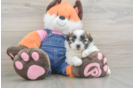 Cute Teddy Bear Baby