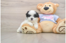 Best Teddy Bear Baby