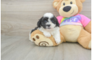 Best Teddy Bear Baby