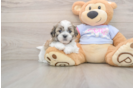 Best Teddy Bear Baby