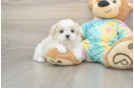 Best Teddy Bear Baby