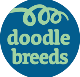 Doodle Breeds Puppies For Sale - Seaside Pups